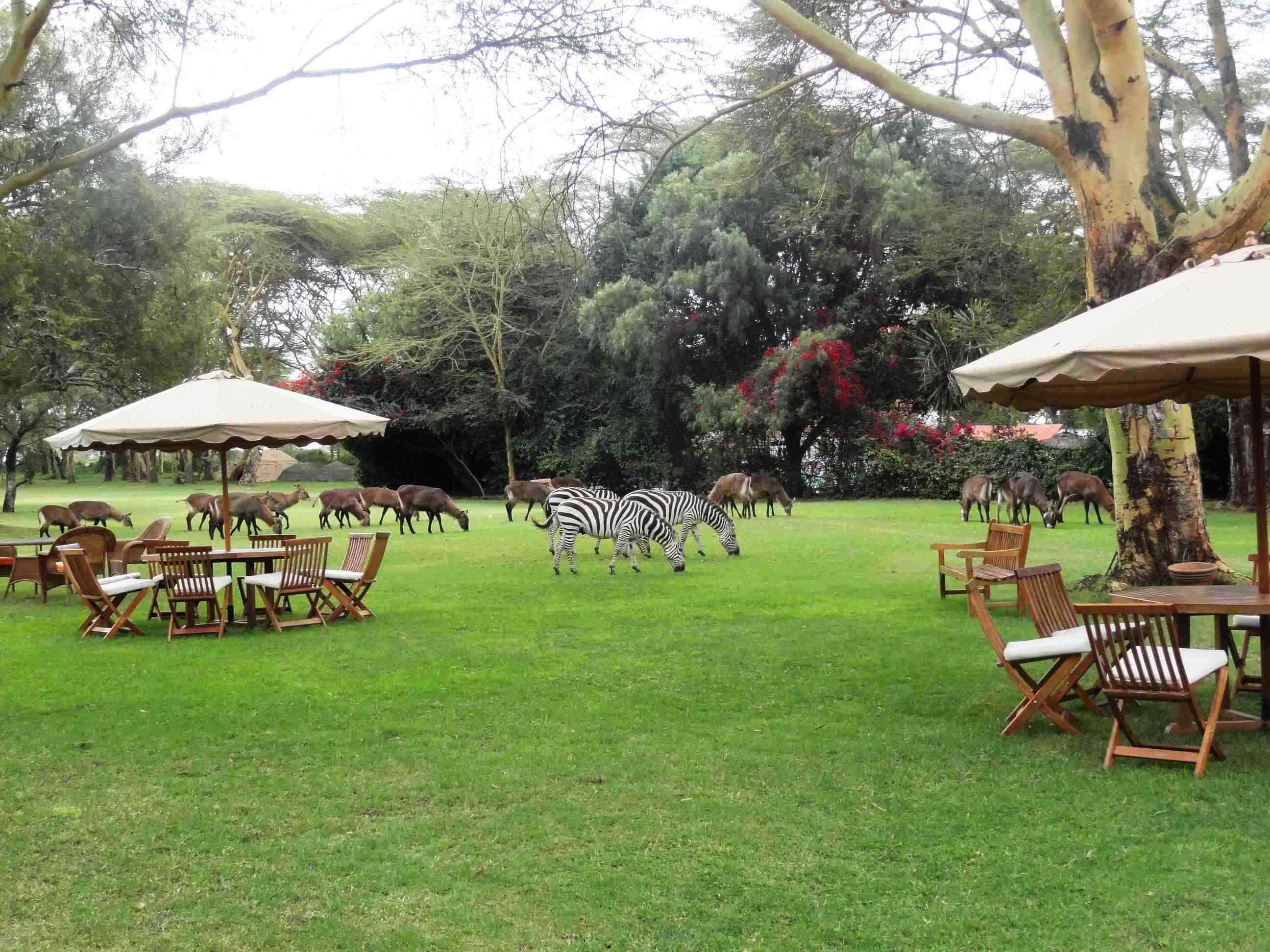 Muthu Lake Naivasha Country Club, Naivasha Karagite Bagian luar foto